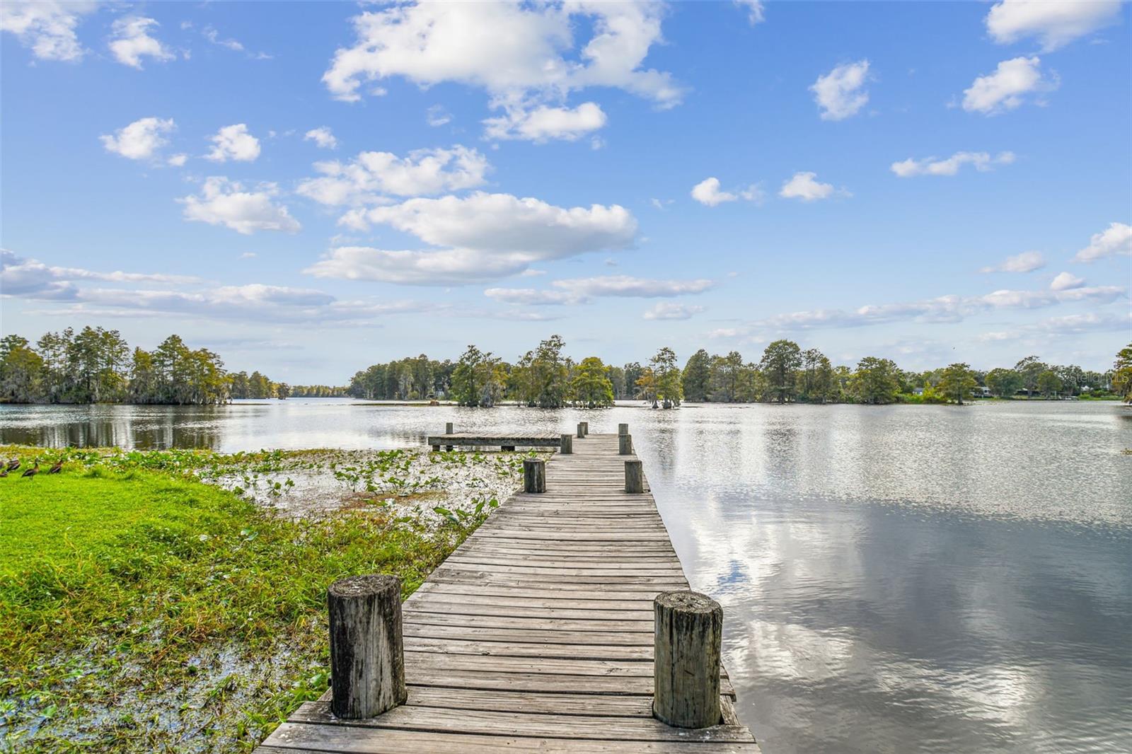 TEMPLE TERRACE ESTATES - Residential