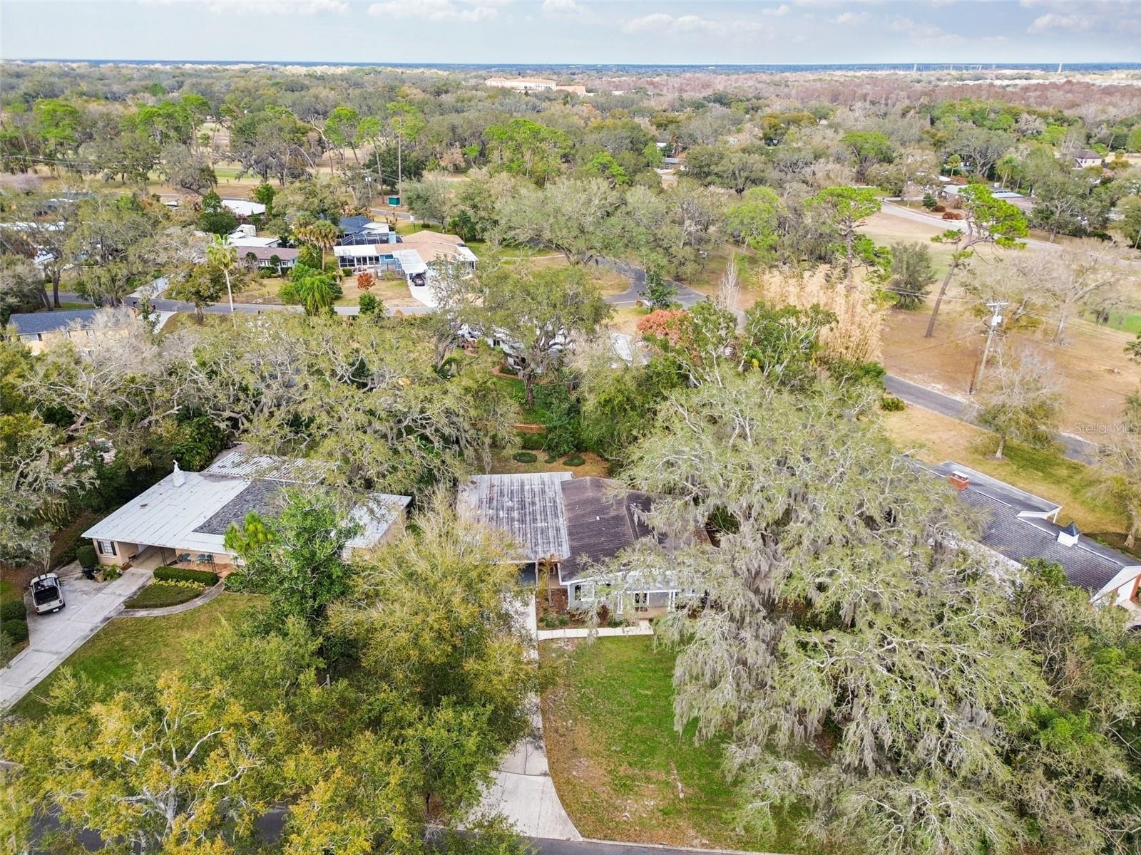 TEMPLE TERRACE ESTATES - Residential