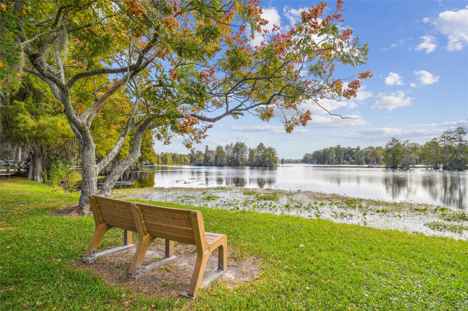 TEMPLE TERRACE ESTATES - Residential