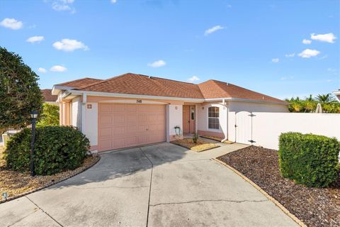 748 RAMIREZ AVENUE LADY LAKE FL 32159