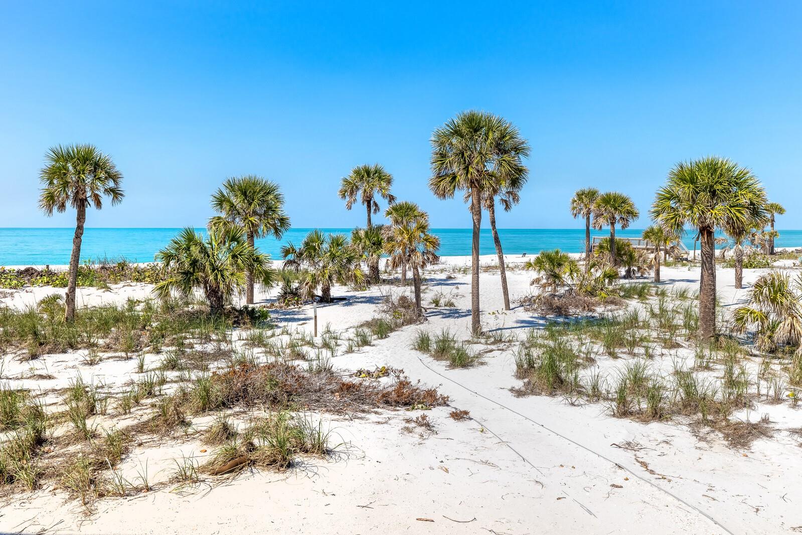 MANOR HOUSE - Residential