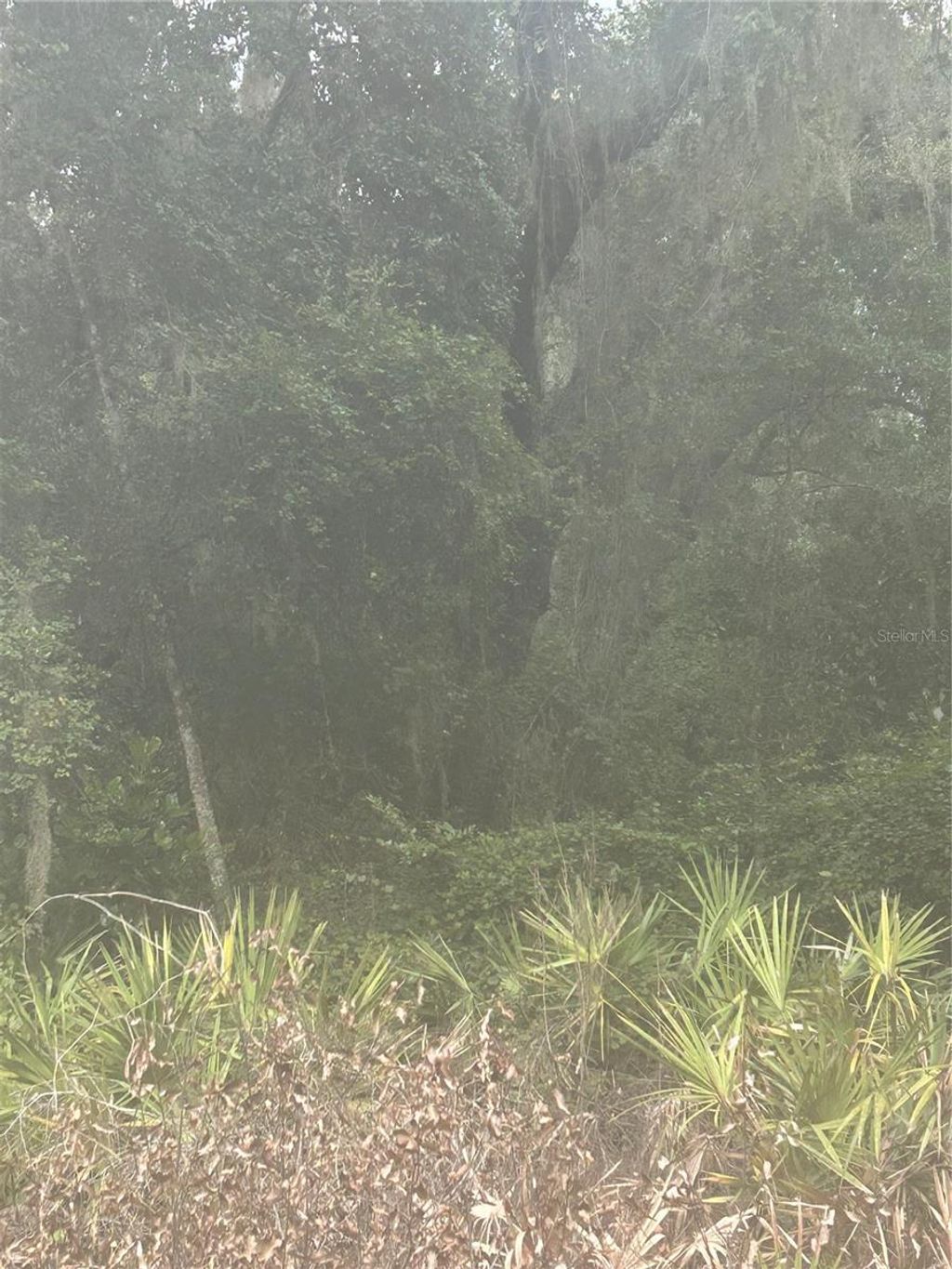 Photo of SE 105 Place, Ocklawaha, FL 32179 (MLS # S5133907)