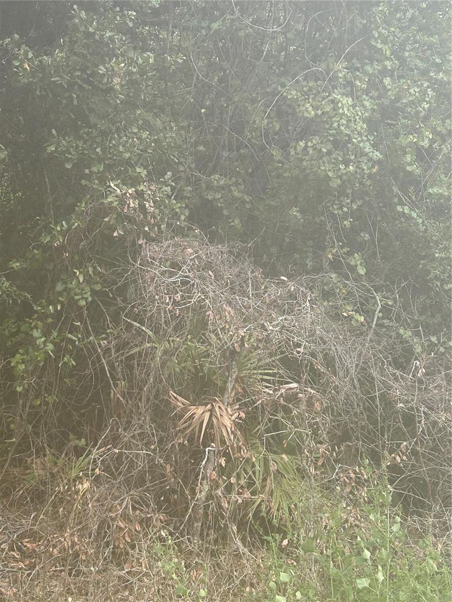 !!!!!!!! GREAT OPPORTUNITY TO BUILD YOUR DREAM HOME!!!!
This 0.26 acre lot located ina growing area of Ocklawaha. The property offers plenty of space for a single-family with room for a pool, garden, or outdoor living. NO HOA and NO CDD!! located near shoppings, schools. DON'T MISS THE CHANCE to OWN land! Perfect for Investors or future homeowners!!