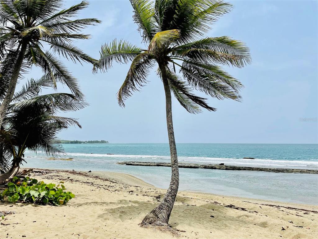 PATILLAS 3 BEACHFRONT PARCELS 1MILE SANDY BEACH - Farm