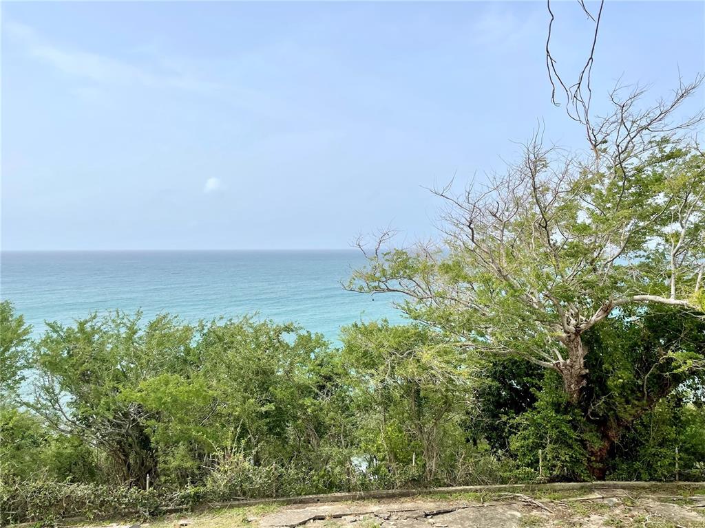 PATILLAS 3 BEACHFRONT PARCELS 1MILE SANDY BEACH - Farm