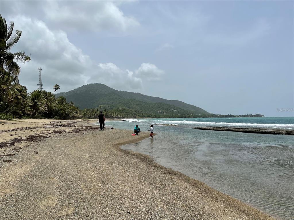 PATILLAS 3 BEACHFRONT PARCELS 1MILE SANDY BEACH - Farm