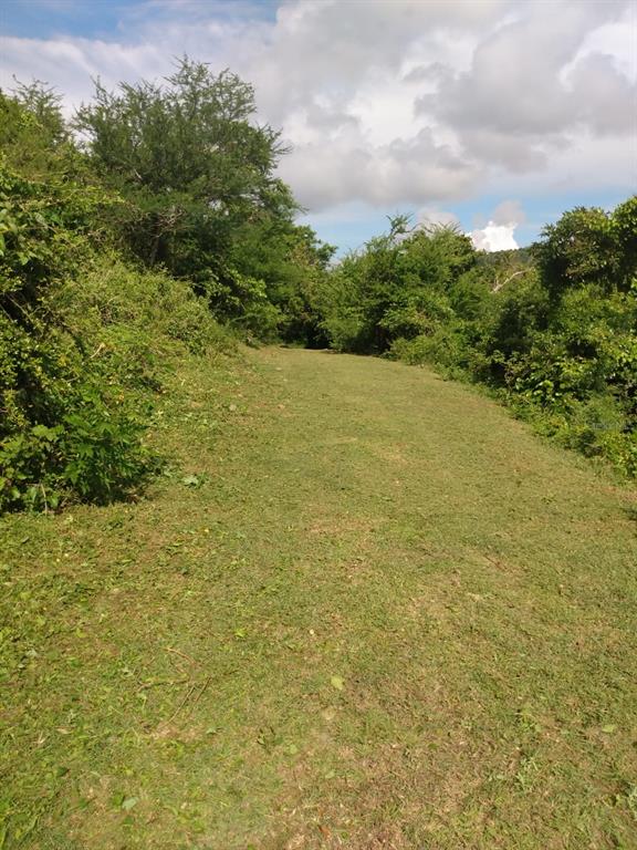 PATILLAS 3 BEACHFRONT PARCELS 1MILE SANDY BEACH - Farm