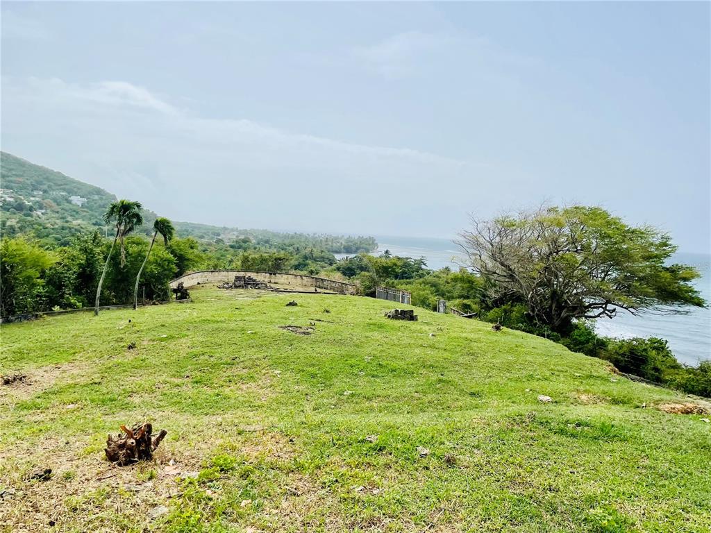 PATILLAS 3 BEACHFRONT PARCELS 1MILE SANDY BEACH - Farm