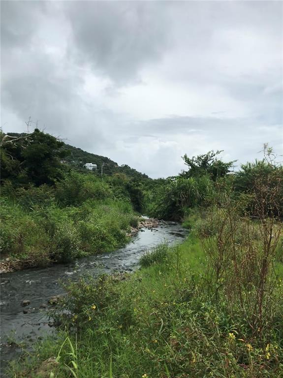 PATILLAS 3 BEACHFRONT PARCELS 1MILE SANDY BEACH - Farm