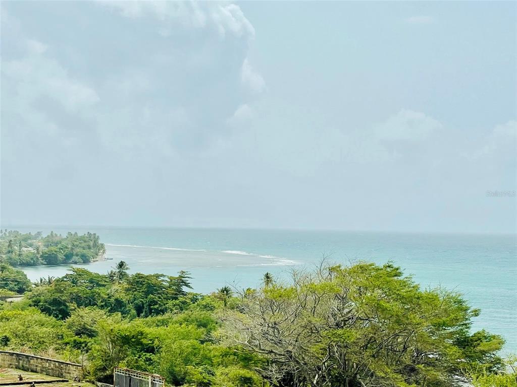 PATILLAS 3 BEACHFRONT PARCELS 1MILE SANDY BEACH - Farm