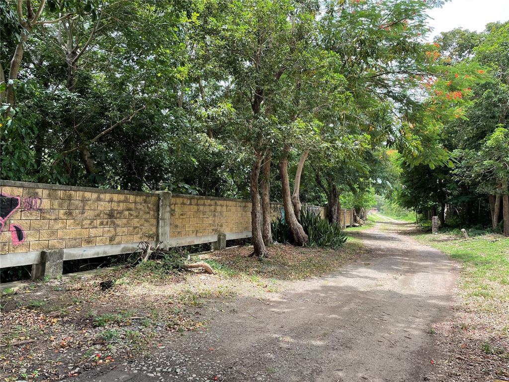 PATILLAS 3 BEACHFRONT PARCELS 1MILE SANDY BEACH - Farm