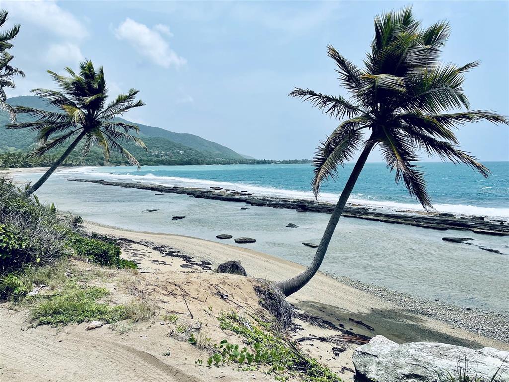 PATILLAS 3 BEACHFRONT PARCELS 1MILE SANDY BEACH - Farm