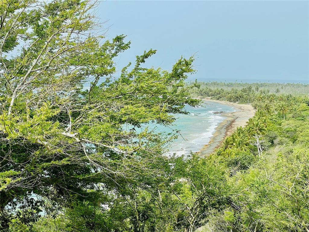 PATILLAS 3 BEACHFRONT PARCELS 1MILE SANDY BEACH - Farm
