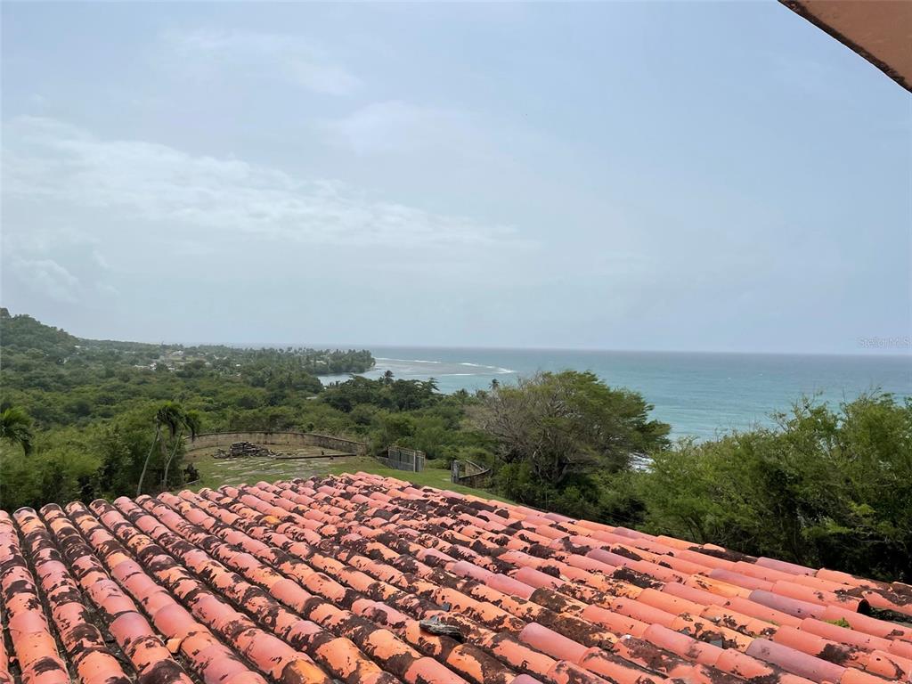 PATILLAS 3 BEACHFRONT PARCELS 1MILE SANDY BEACH - Farm