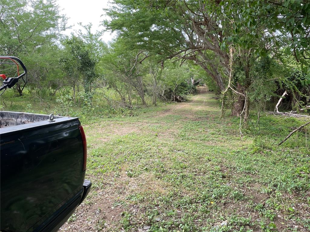 PATILLAS 3 BEACHFRONT PARCELS 1MILE SANDY BEACH - Farm