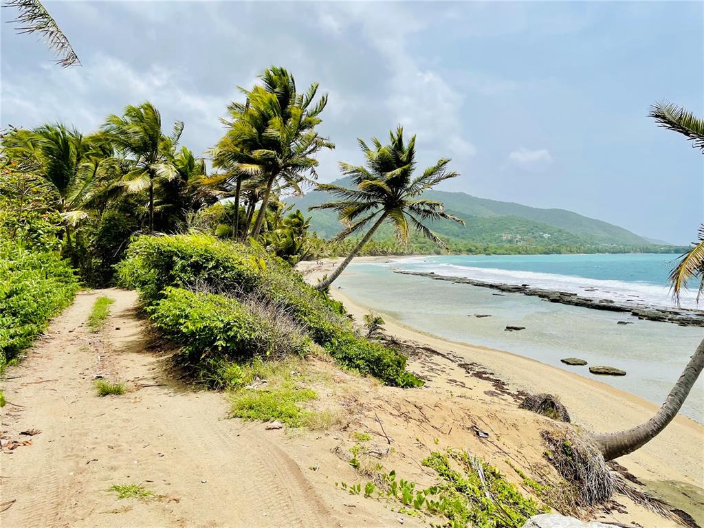 PATILLAS 3 BEACHFRONT PARCELS 1MILE SANDY BEACH - Farm