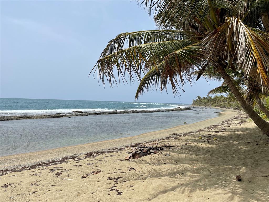 PATILLAS 3 BEACHFRONT PARCELS 1MILE SANDY BEACH - Farm
