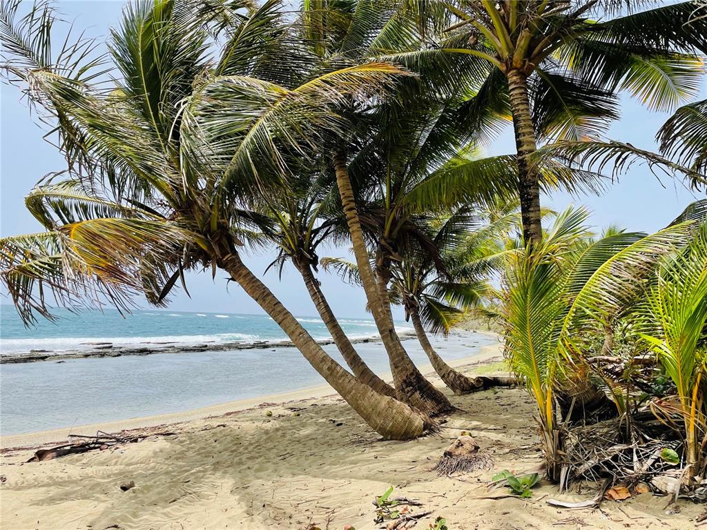 PATILLAS 3 BEACHFRONT PARCELS 1MILE SANDY BEACH - Farm