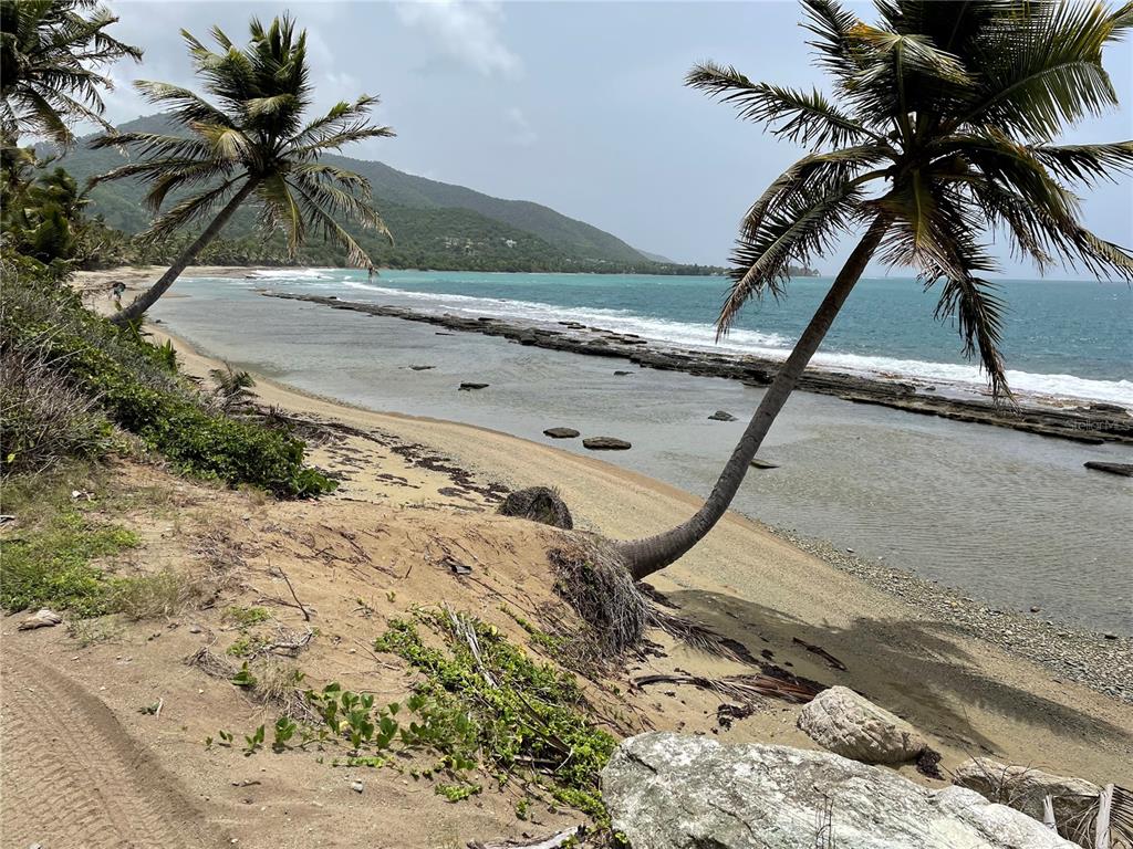 PATILLAS 3 BEACHFRONT PARCELS 1MILE SANDY BEACH - Farm