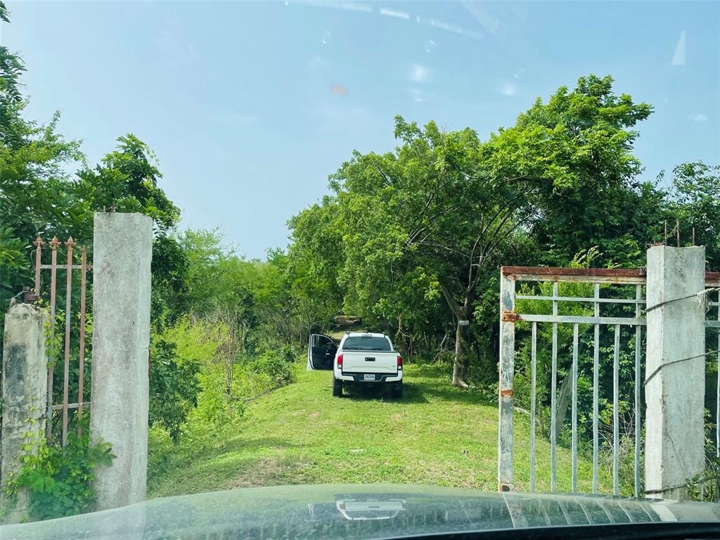 PATILLAS 3 BEACHFRONT PARCELS 1MILE SANDY BEACH - Farm