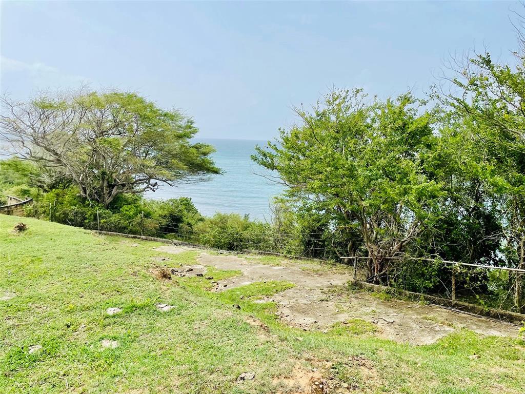 PATILLAS 3 BEACHFRONT PARCELS 1MILE SANDY BEACH - Farm