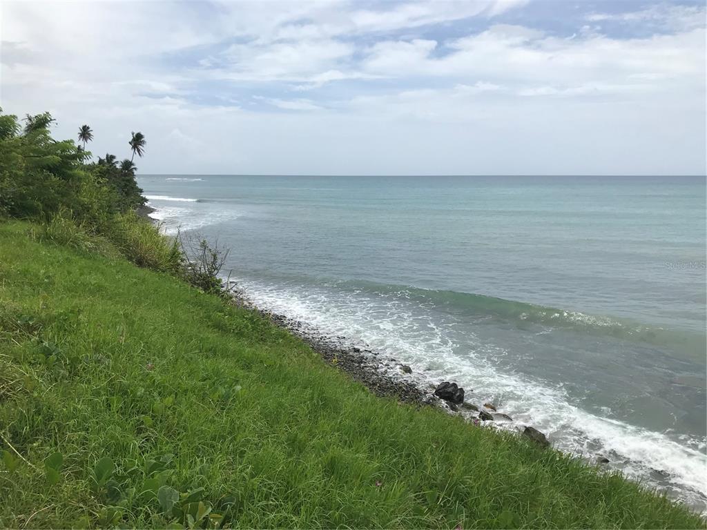 PATILLAS 3 BEACHFRONT PARCELS 1MILE SANDY BEACH - Farm