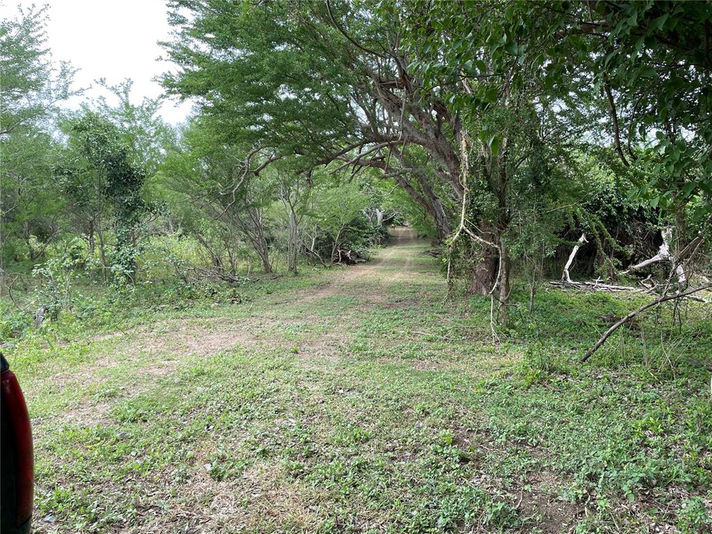 PATILLAS 3 BEACHFRONT PARCELS 1MILE SANDY BEACH - Farm