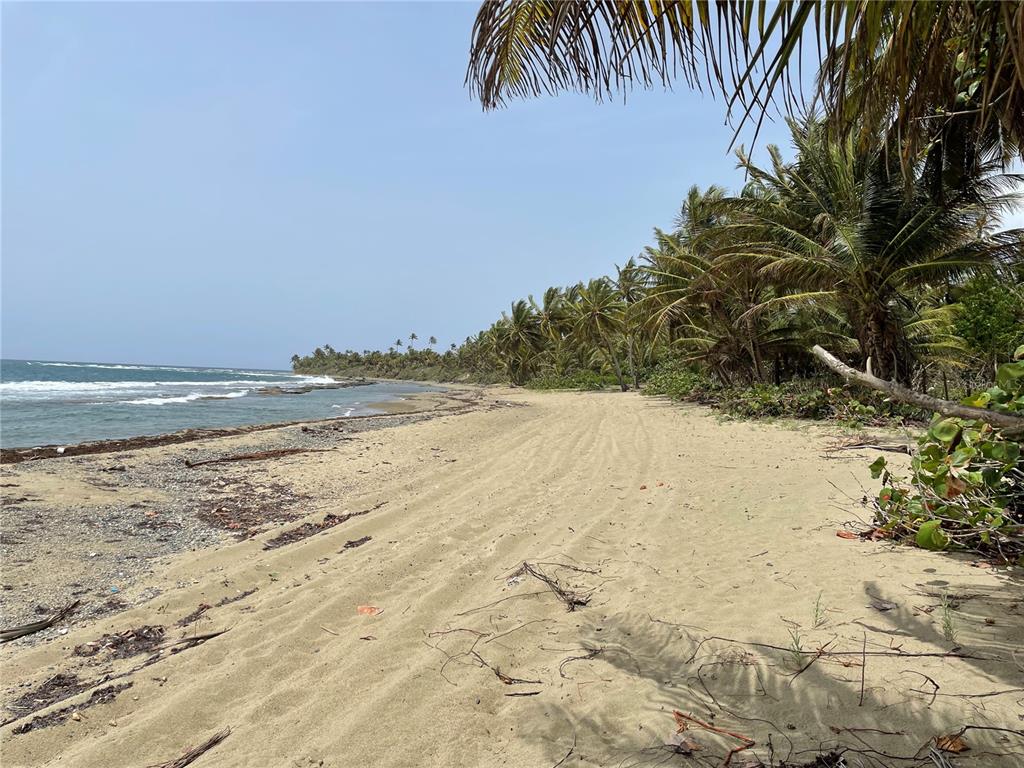 PATILLAS 3 BEACHFRONT PARCELS 1MILE SANDY BEACH - Farm