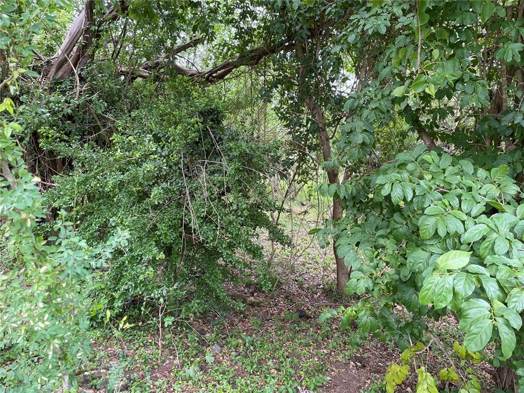 PATILLAS 3 BEACHFRONT PARCELS 1MILE SANDY BEACH - Farm