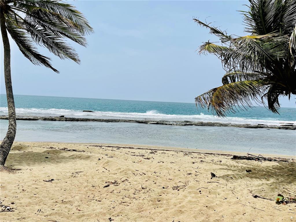 PATILLAS 3 BEACHFRONT PARCELS 1MILE SANDY BEACH - Farm