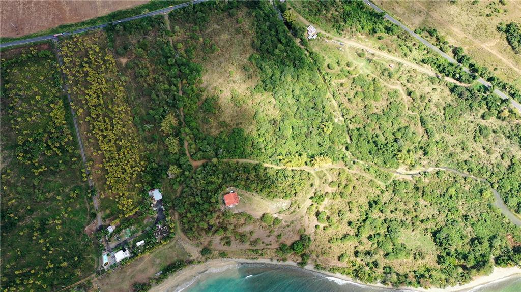 PATILLAS 3 BEACHFRONT PARCELS 1MILE SANDY BEACH - Farm