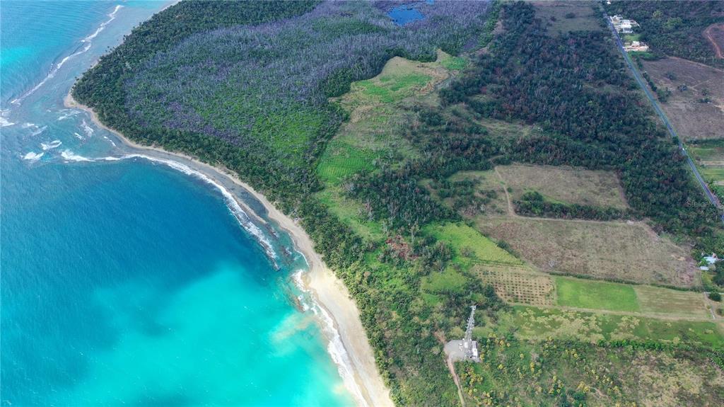 PATILLAS 3 BEACHFRONT PARCELS 1MILE SANDY BEACH - Farm