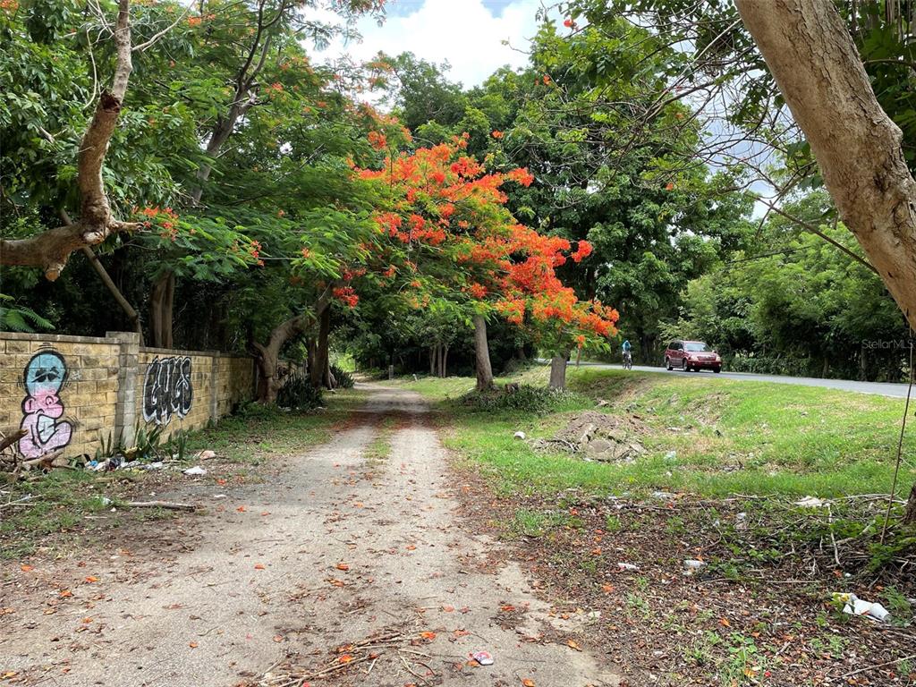 PATILLAS 3 BEACHFRONT PARCELS 1MILE SANDY BEACH - Farm