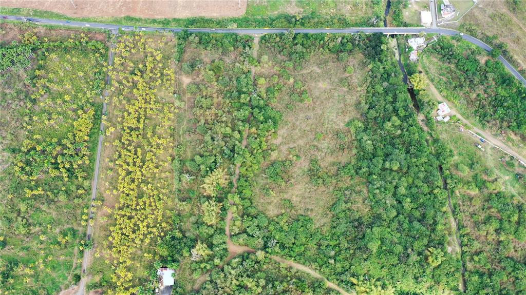 PATILLAS 3 BEACHFRONT PARCELS 1MILE SANDY BEACH - Farm