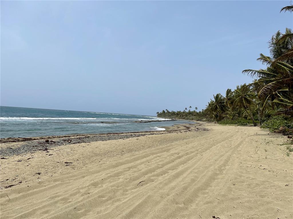 PATILLAS 3 BEACHFRONT PARCELS 1MILE SANDY BEACH - Farm