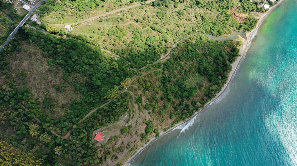 PATILLAS 3 BEACHFRONT PARCELS 1MILE SANDY BEACH - Farm