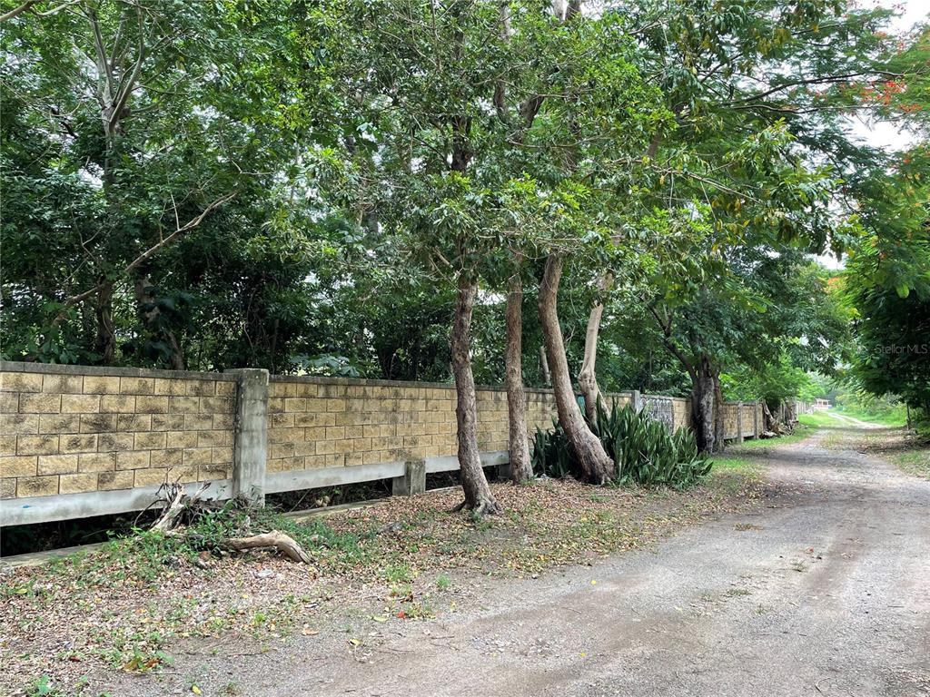 PATILLAS 3 BEACHFRONT PARCELS 1MILE SANDY BEACH - Farm