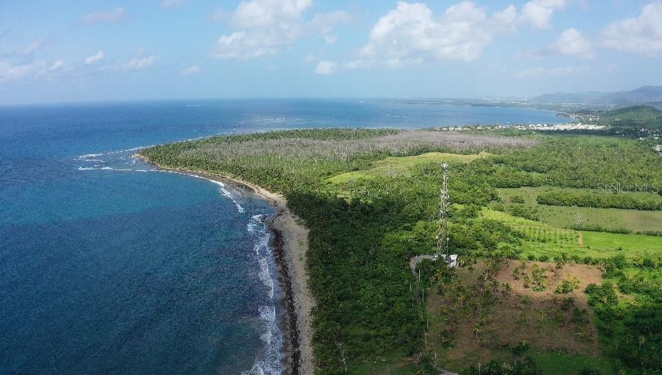 PATILLAS 3 BEACHFRONT PARCELS 1MILE SANDY BEACH - Farm