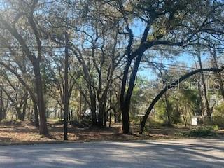 10 LOTS IN AN EXCLUSIVE, PRIVATE GATED RESIDENTIAL COMMUNITY.
INCLUDED IN THIS LISTING:
Folio: 033728-0000 - ACRES: 3.14 (136,778 sq ft) PIN: U-29-27-19-1AV-000000-00056.0
Folio: 033717-0000 - ACRES: 25.47 (1,109,473 sq ft) PIN: U-29-27-19-1AV-000000-00052.1
Folio: 033732-0000 - ACRES: 4.2 (182,952 sq ft) PIN: U-29-27-19-1AV-000000-00060.0
The 27+ acre environmental preserve, where residents will share the recreation area's natural beauty, is the highlight of the property.