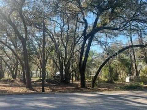 16222 LIVINGSTON AVENUE LUTZ FL 33559