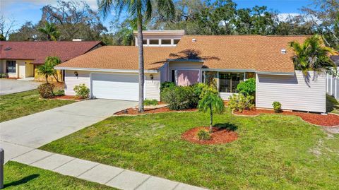 A home in PALM HARBOR