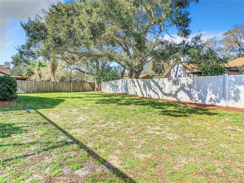 A home in PALM HARBOR