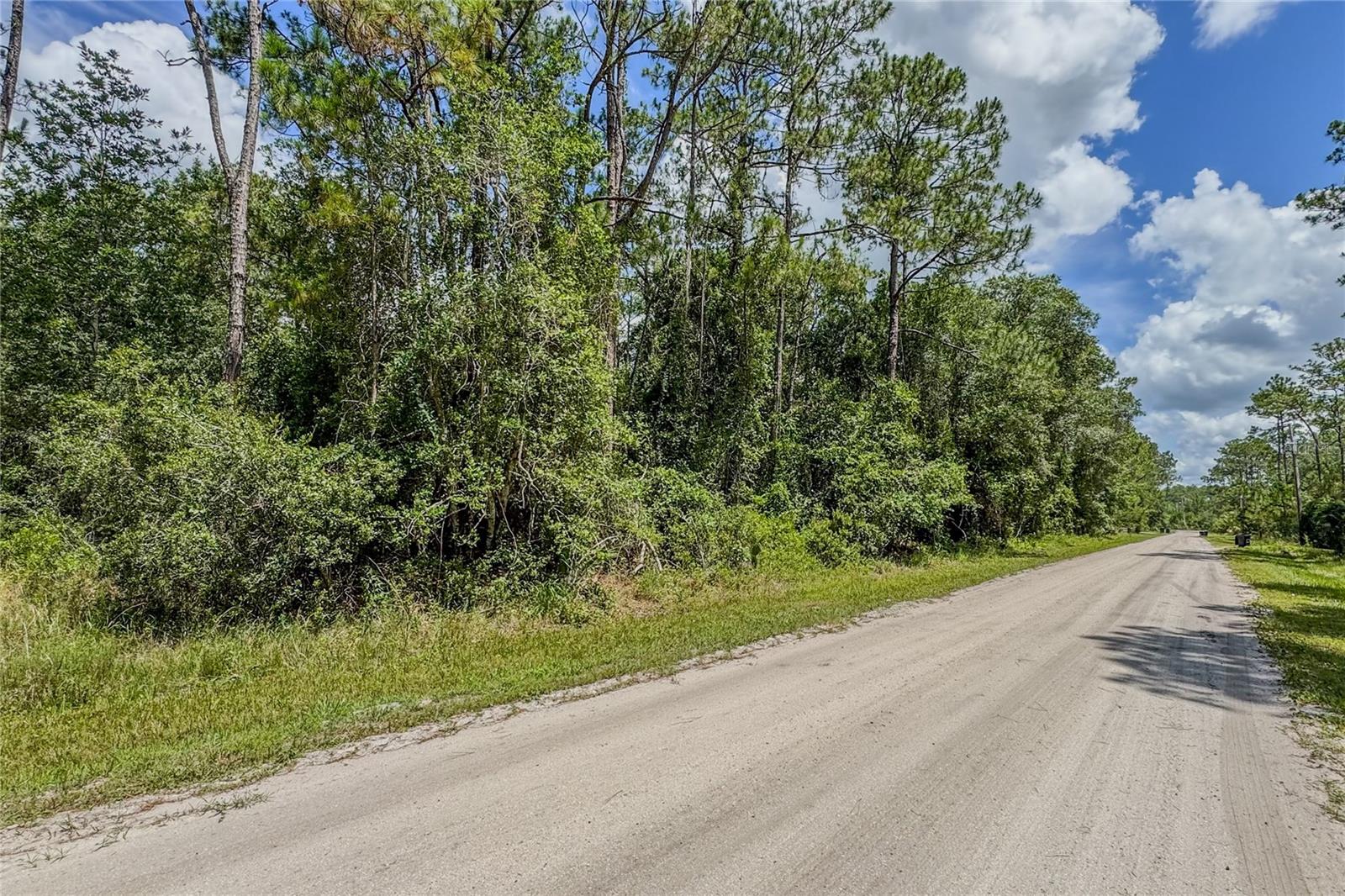 DAYTONA NORTH SUB - Land