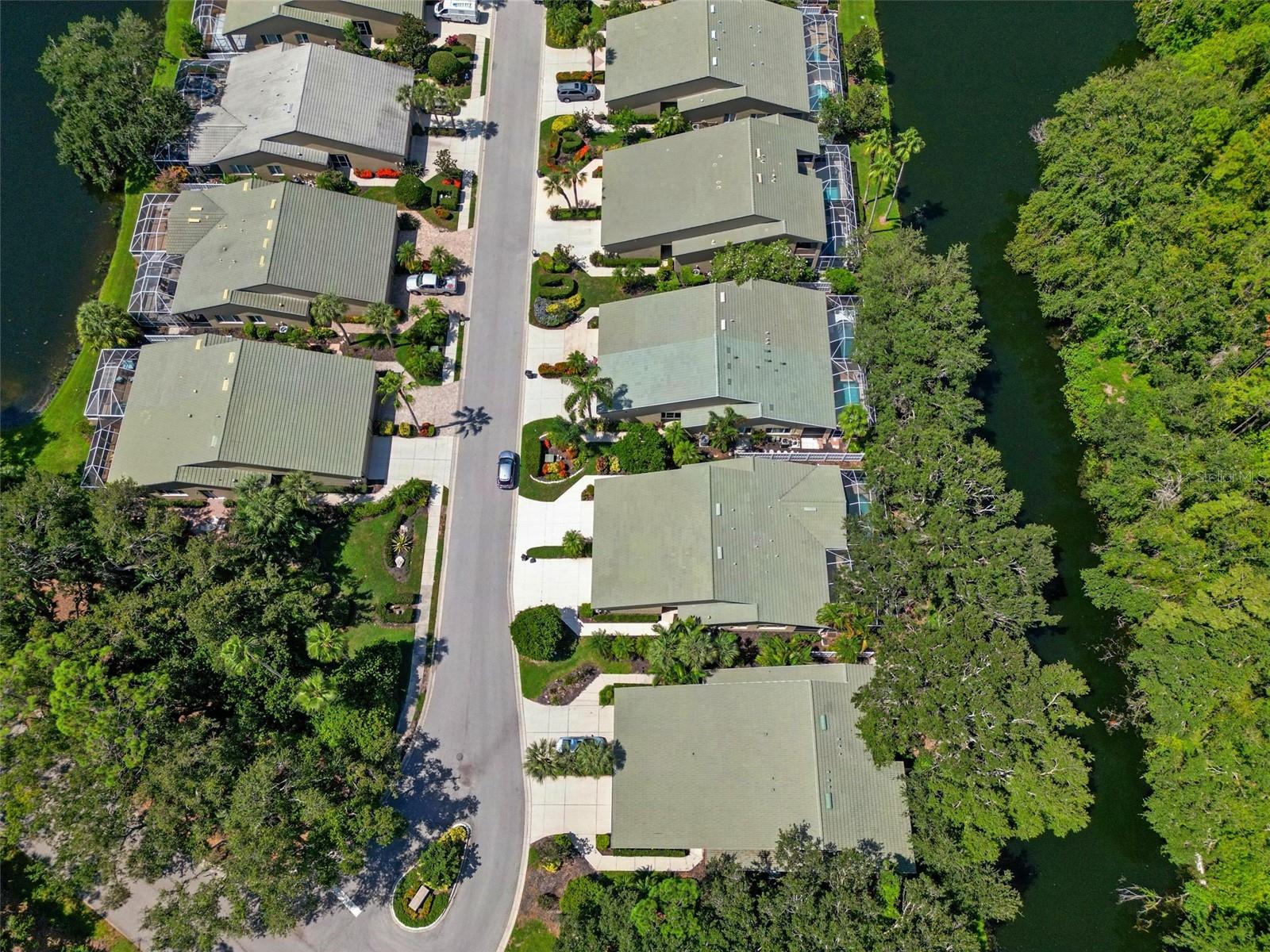 ROSEDALE 8 WESTBURY LAKES - Residential