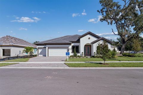 4538 FOLEY GROVE DRIVE VALRICO FL 33596