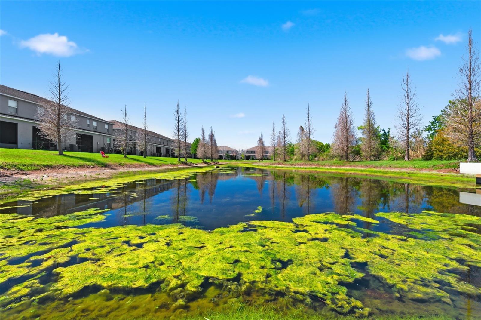 RIVERVIEW LAKES - Residential