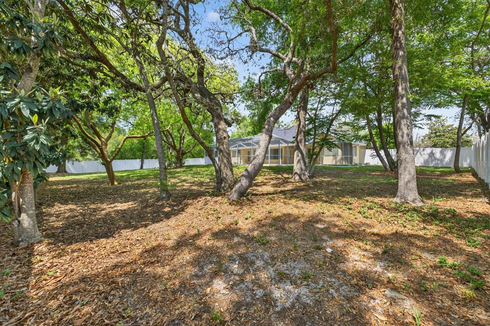 EAST LINDEN ESTATE - Residential