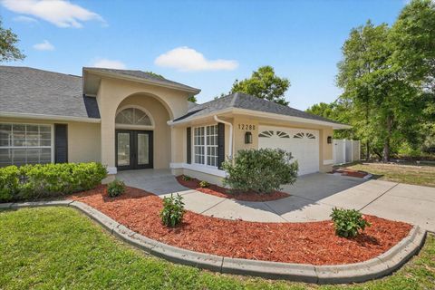 12280 EVERARD DRIVE SPRING HILL FL 34609