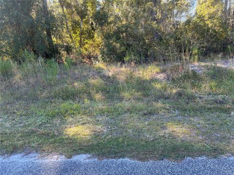 525 LIVE OAK LOOP CRESCENT CITY FL 32112