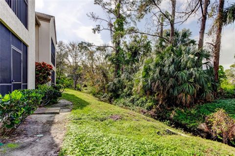 A home in PALM HARBOR